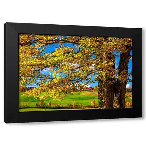 USA-New England-Vermont red barn in the countryside with Fall colors Black Modern Wood Framed Art Print with Double Matting by Gulin, Sylvia