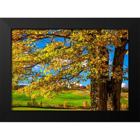 USA-New England-Vermont red barn in the countryside with Fall colors Black Modern Wood Framed Art Print by Gulin, Sylvia