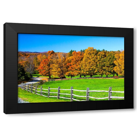USA-New England-Vermont countryside with curved gravel road fence in Autumn Black Modern Wood Framed Art Print with Double Matting by Gulin, Sylvia