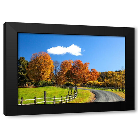 USA-New England-Vermont countryside with curved gravel road fence in Autumn Black Modern Wood Framed Art Print with Double Matting by Gulin, Sylvia