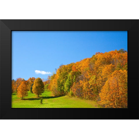USA-New England-Vermont Black Modern Wood Framed Art Print by Gulin, Sylvia