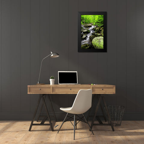 Virginia, Shenandoah NP Creek in the forest Black Modern Wood Framed Art Print by OBrien, Jay