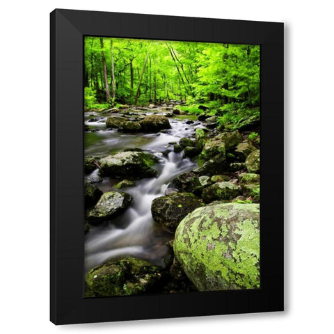 Virginia, Shenandoah NP Creek in the forest Black Modern Wood Framed Art Print by OBrien, Jay