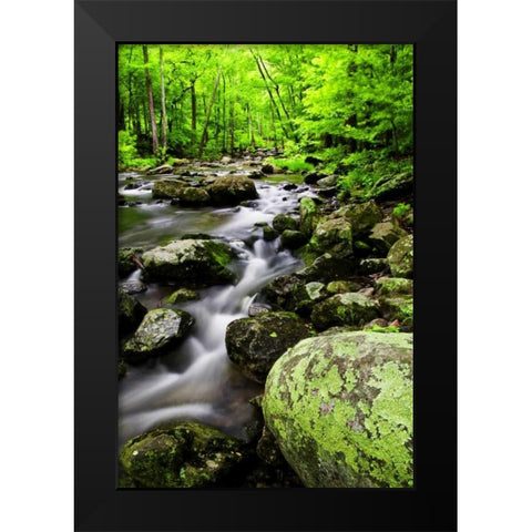Virginia, Shenandoah NP Creek in the forest Black Modern Wood Framed Art Print by OBrien, Jay