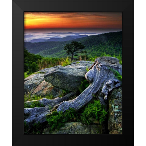 VA, Shenandoah NP Overlook from Skyline Drive Black Modern Wood Framed Art Print by OBrien, Jay