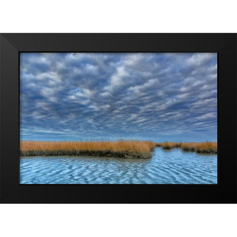 Virginia Cloudy scenic on Chincoteague Island Black Modern Wood Framed Art Print by OBrien, Jay
