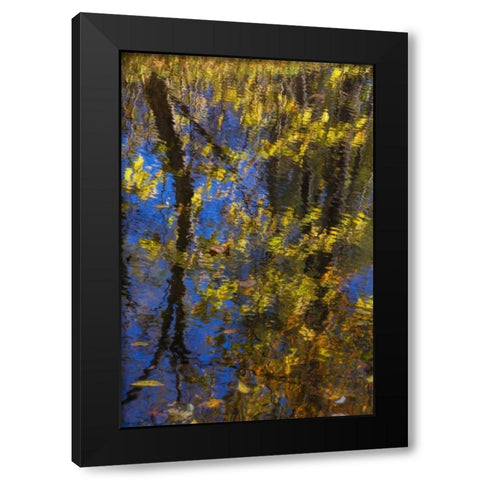 Virginia, McLean Scenic in Great Falls SP Black Modern Wood Framed Art Print by OBrien, Jay
