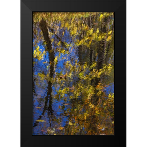 Virginia, McLean Scenic in Great Falls SP Black Modern Wood Framed Art Print by OBrien, Jay