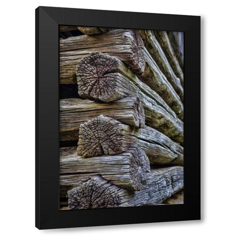 VA, Roanoke, Explore Park Detail of log cabin Black Modern Wood Framed Art Print with Double Matting by Paulson, Don