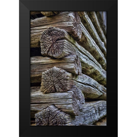 VA, Roanoke, Explore Park Detail of log cabin Black Modern Wood Framed Art Print by Paulson, Don