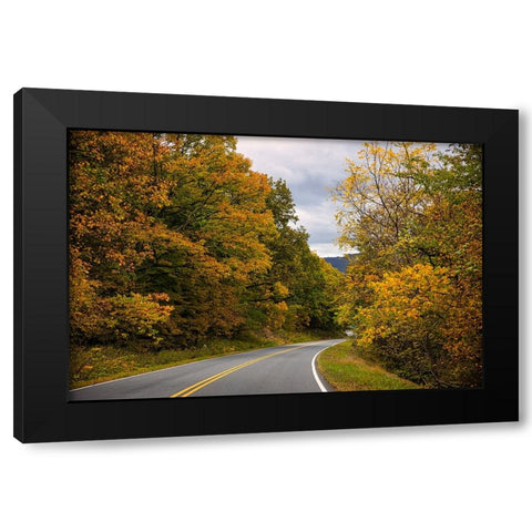 USA-Virginia-Shenandoah National Park-fall color along Skyline Drive Black Modern Wood Framed Art Print by Looney, Hollice
