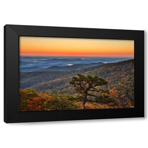 USA-Virginia-Shenandoah National Park-Sunrise along Skyline Drive in the Fall Black Modern Wood Framed Art Print with Double Matting by Looney, Hollice