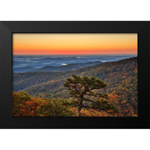 USA-Virginia-Shenandoah National Park-Sunrise along Skyline Drive in the Fall Black Modern Wood Framed Art Print by Looney, Hollice