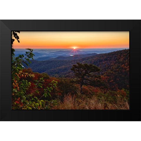 USA-Virginia-Shenandoah National Park-Sunrise along Skyline Drive in the Fall Black Modern Wood Framed Art Print by Looney, Hollice