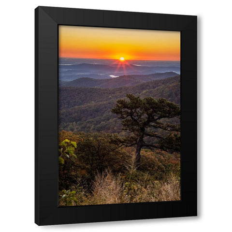 USA-Virginia-Shenandoah National Park-Sunrise along Skyline Drive in the Fall Black Modern Wood Framed Art Print by Looney, Hollice