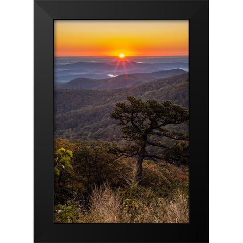 USA-Virginia-Shenandoah National Park-Sunrise along Skyline Drive in the Fall Black Modern Wood Framed Art Print by Looney, Hollice