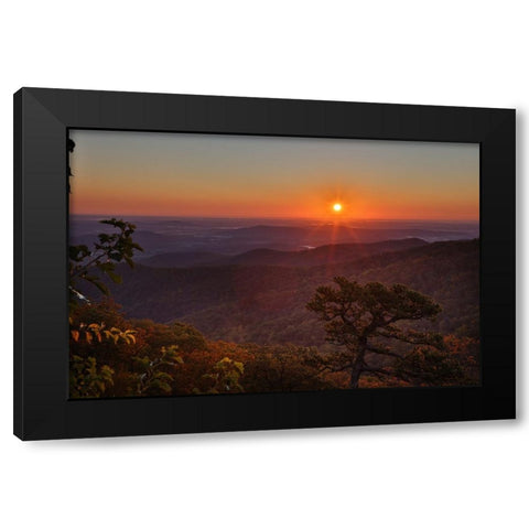 USA-Virginia-Shenandoah National Park-Sunrise along Skyline Drive in the Fall Black Modern Wood Framed Art Print with Double Matting by Looney, Hollice