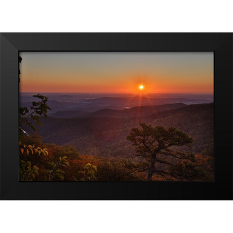 USA-Virginia-Shenandoah National Park-Sunrise along Skyline Drive in the Fall Black Modern Wood Framed Art Print by Looney, Hollice