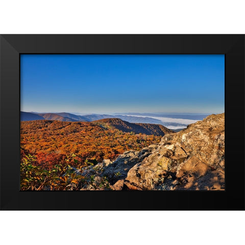 USA-Virginia-Shenandoah National Park-fall color in the park Black Modern Wood Framed Art Print by Looney, Hollice