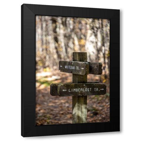 USA-Virginia-Shenandoah National Park-Wooden trail marker for the White Oak Trail and Limberlost Tr Black Modern Wood Framed Art Print with Double Matting by Looney, Hollice