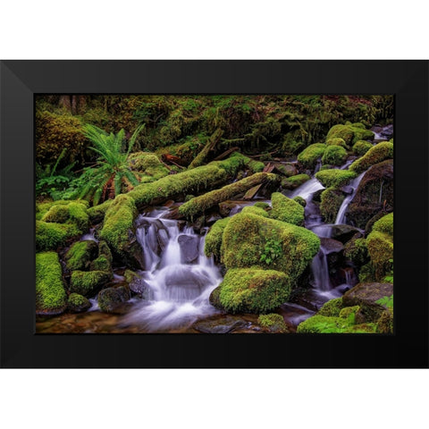 Small stream cascading through moss covered rocks-Hoh Rainforest-Olympic National Park Black Modern Wood Framed Art Print by Jones, Adam