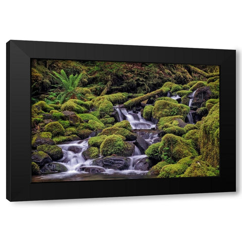 Small stream cascading through moss covered rocks-Hoh Rainforest-Olympic National Park Black Modern Wood Framed Art Print with Double Matting by Jones, Adam