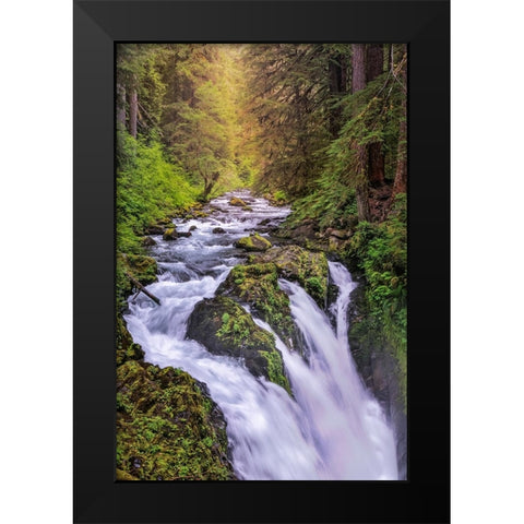 Sol Duc River and Falls-Olympic National Park-Washington State Black Modern Wood Framed Art Print by Jones, Adam