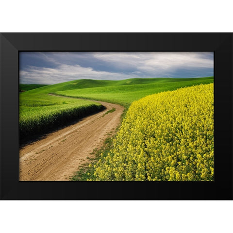 Rural farm road through yellow canola and green wheat crops Black Modern Wood Framed Art Print by Jones, Adam