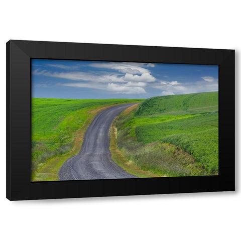 Rural road through rolling wheat fields-Palouse region of eastern Washington State Black Modern Wood Framed Art Print with Double Matting by Jones, Adam