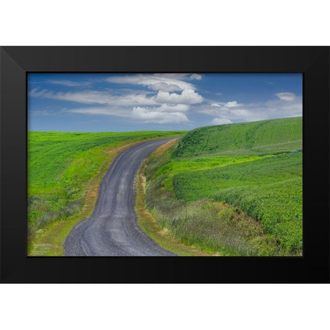 Rural road through rolling wheat fields-Palouse region of eastern Washington State Black Modern Wood Framed Art Print by Jones, Adam