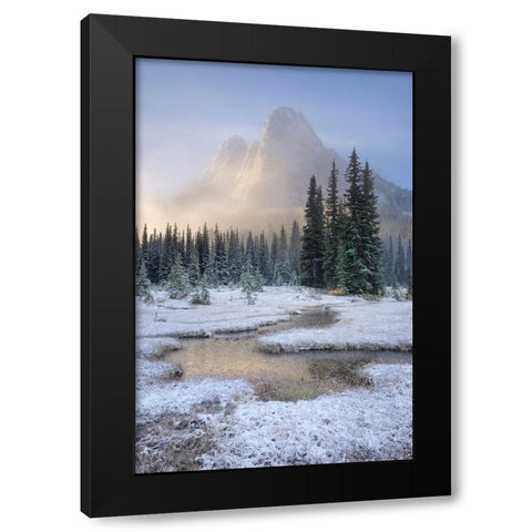 Fresh autumn snow on Liberty Bell Mountain and meadows of Washington State Pass Black Modern Wood Framed Art Print with Double Matting by Majchrowicz, Alan