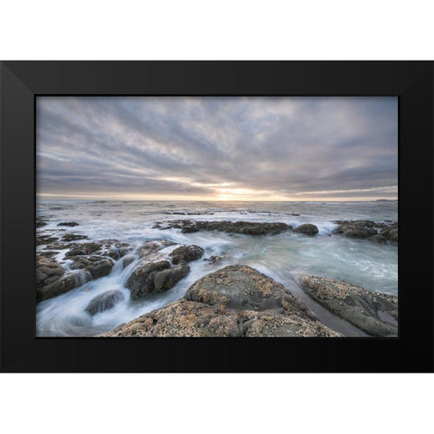 Kalaloch Beach 4 at sunset-Olympic National Park-Washington State Black Modern Wood Framed Art Print by Majchrowicz, Alan