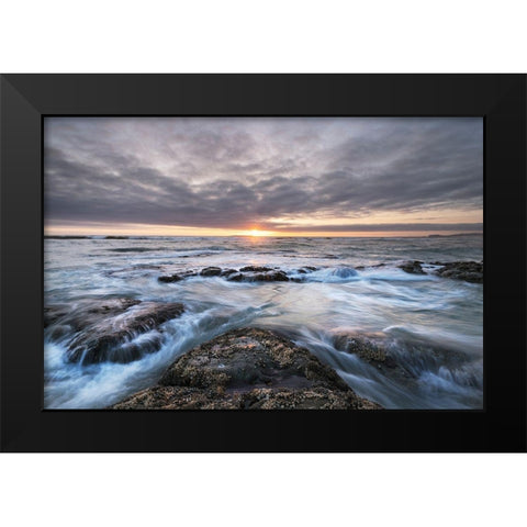 Kalaloch Beach 4 at sunset-Olympic National Park-Washington State Black Modern Wood Framed Art Print by Majchrowicz, Alan