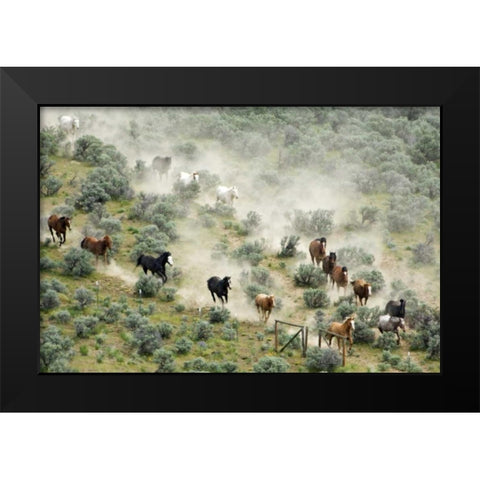 WA, Malaga, Horses form V shape during roundup Black Modern Wood Framed Art Print by Kirkland, Dennis
