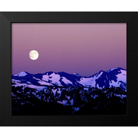WA, Olympic NP Moonrise from Hurricane Ridge Black Modern Wood Framed Art Print by Kelley, David