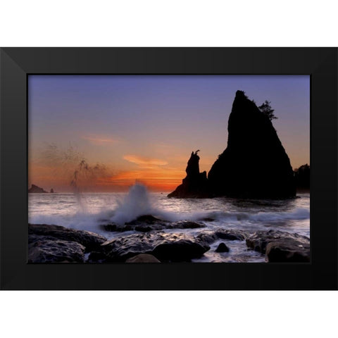 WA, Olympic NP Sea stack at Rialto Beach, sunset Black Modern Wood Framed Art Print by Paulson, Don