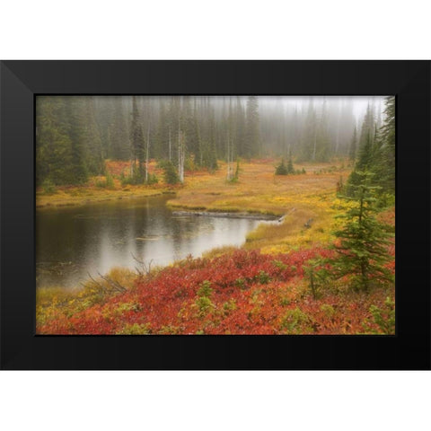 WA, Mount Rainier NP Fall-colored meadow Black Modern Wood Framed Art Print by Paulson, Don