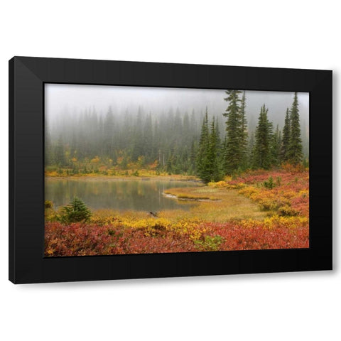 WA, Mount Rainier NP Fall-colored meadow Black Modern Wood Framed Art Print with Double Matting by Paulson, Don