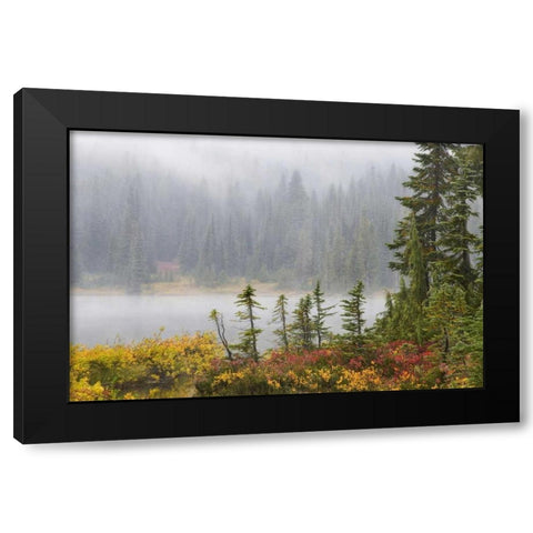 WA, Mount Rainier NP Trees and lake in mist Black Modern Wood Framed Art Print with Double Matting by Paulson, Don