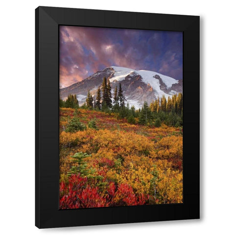 Washington Sunset over Mount Rainier and valley Black Modern Wood Framed Art Print by Paulson, Don
