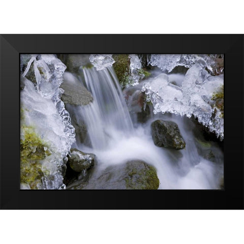 Washington, Olympic NP Icy winter waterfall Black Modern Wood Framed Art Print by Paulson, Don