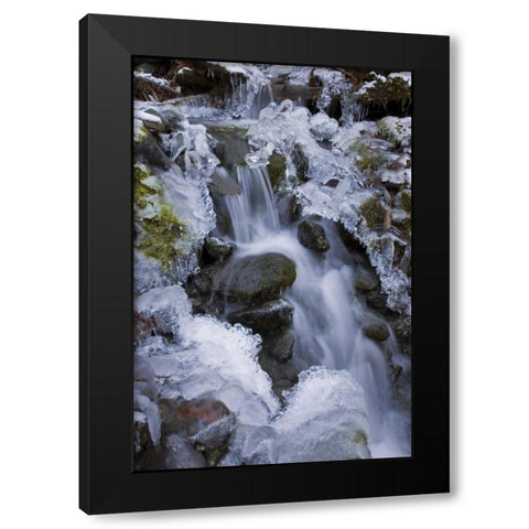 Washington, Olympic NP Icy winter waterfall Black Modern Wood Framed Art Print by Paulson, Don