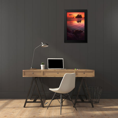 WA, Olympic NP Sunset over sea stacks Black Modern Wood Framed Art Print by Welling, Dave