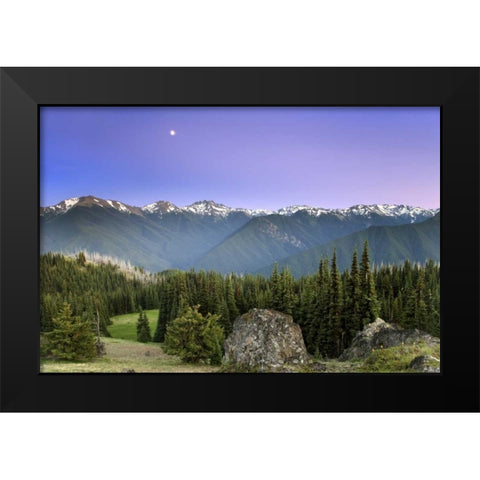 WA, Olympic NP Moonrise viewed from Deer Park Black Modern Wood Framed Art Print by Paulson, Don