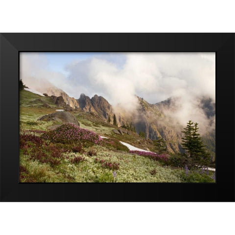 Olympic NP Clouds over meadow and Klahhane Ridge Black Modern Wood Framed Art Print by Paulson, Don