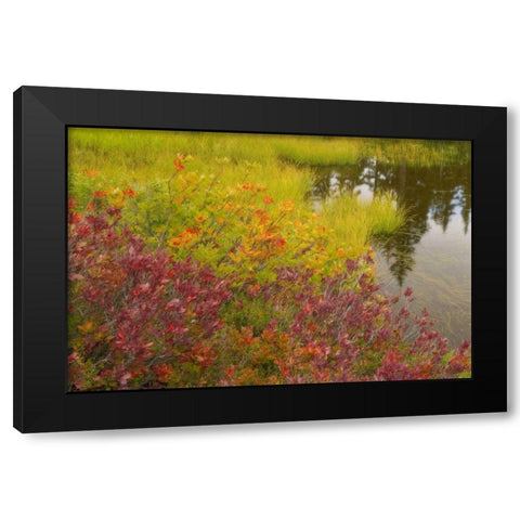 WA, Mt Baker Wilderness, Autumn at Picture Lake Black Modern Wood Framed Art Print by Paulson, Don