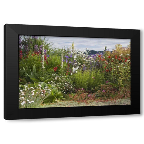 WA, Poulsbo Perennial garden with flower Black Modern Wood Framed Art Print by Paulson, Don