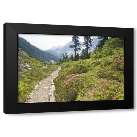 WA, Cascade Pass Hiking trail amid wilderness Black Modern Wood Framed Art Print with Double Matting by Paulson, Don