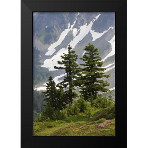 WA, North Cascades NP Mountain hemlock trees Black Modern Wood Framed Art Print by Paulson, Don