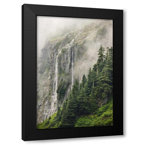WA, North Cascades NP, Waterfall and fog Black Modern Wood Framed Art Print with Double Matting by Paulson, Don